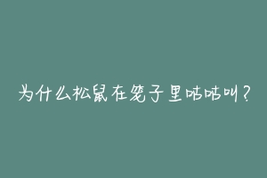 为什么松鼠在笼子里咕咕叫?