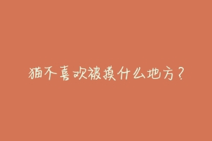 猫不喜欢被摸什么地方?