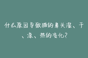 什么原因导致猫的鼻头湿、干、凉、热的变化?