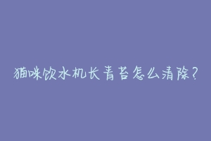 猫咪饮水机长青苔怎么清除?