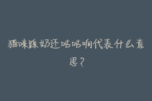 猫咪踩奶还咕咕响代表什么意思?