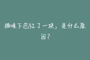 猫咪下巴红了一块,是什么原因?