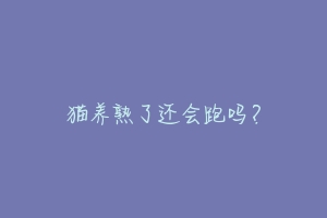 猫养熟了还会跑吗?