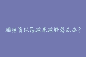 猫绝育以后越来越胖怎么办？