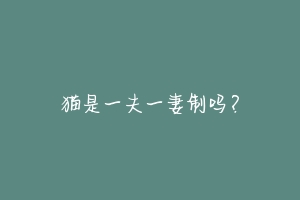 猫是一夫一妻制吗?