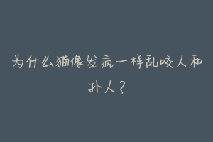 为什么猫像发疯一样乱咬人和扑人？