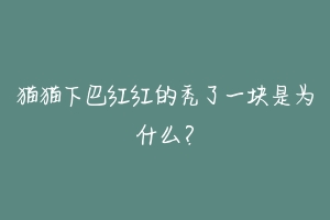 猫猫下巴红红的秃了一块是为什么？