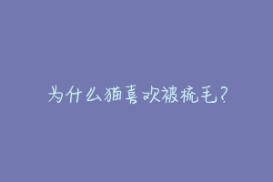为什么猫喜欢被梳毛？