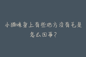 小猫咪身上有些地方没有毛是怎么回事?