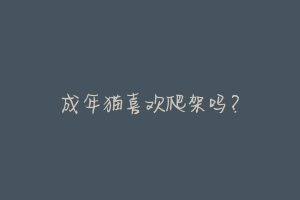 成年猫喜欢爬架吗?