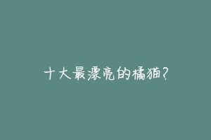 十大最漂亮的橘猫?