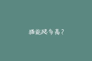猫能爬多高?