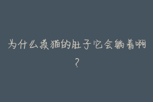 为什么摸猫的肚子它会躺着啊?