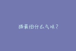 猫最怕什么气味？