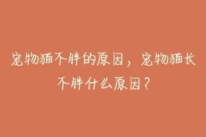宠物猫不胖的原因，宠物猫长不胖什么原因？