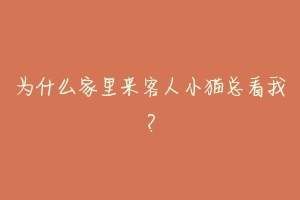 为什么家里来客人小猫总看我?