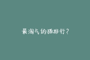 最淘气的猫排行？