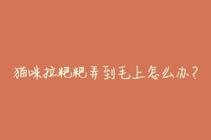 猫咪拉粑粑弄到毛上怎么办?