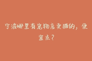 宁波哪里有宠物店卖猫的，便宜点？