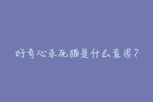 好奇心杀死猫是什么意思?