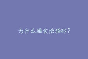为什么猫会怕猫砂？
