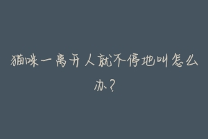 猫咪一离开人就不停地叫怎么办?