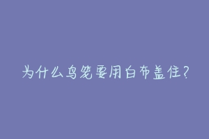 为什么鸟笼要用白布盖住?