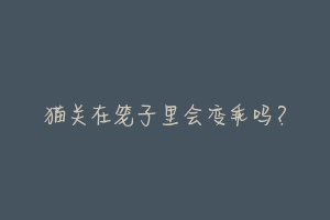 猫关在笼子里会变乖吗?