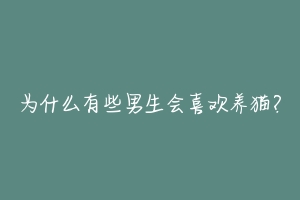 为什么有些男生会喜欢养猫?