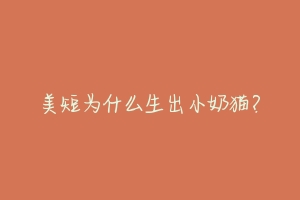 美短为什么生出小奶猫?