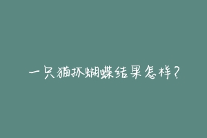 一只猫抓蝴蝶结果怎样?