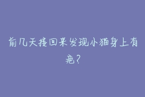 前几天接回来发现小猫身上有疤?