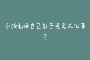 小猫老舔自己肚子是怎么回事?