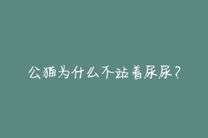 公猫为什么不站着尿尿?