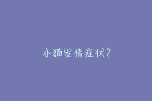 小猫发情症状?