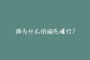 猫为什么怕烟花爆竹?