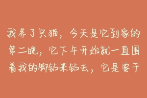 我养了只猫,今天是它到家的第二晚,它下午开始就一直围着我的脚钻来钻去,它是要干什么?(看一下详述)?