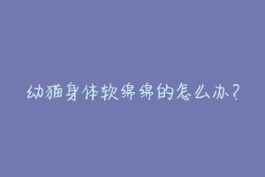 幼猫身体软绵绵的怎么办?