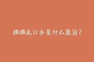 猫猫流口水是什么原因?