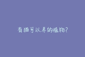 有猫可以养的植物？