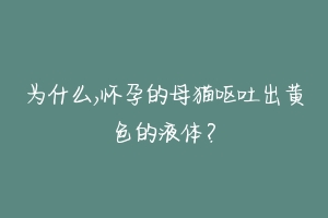 为什么,怀孕的母猫呕吐出黄色的液体?