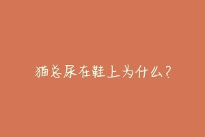猫总尿在鞋上为什么?