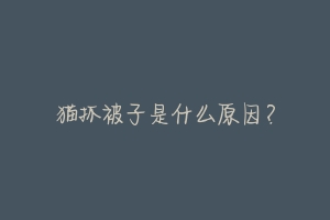 猫抓被子是什么原因?