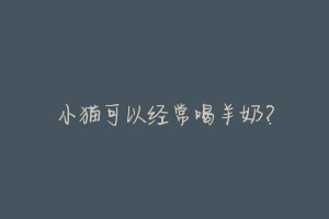 小猫可以经常喝羊奶?