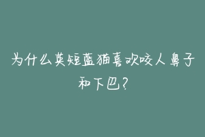 为什么英短蓝猫喜欢咬人鼻子和下巴?