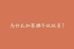 为什么加菲猫不玩玩具?