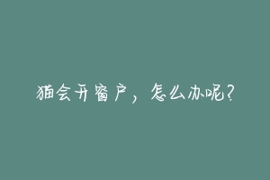 猫会开窗户，怎么办呢？