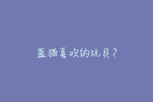 蓝猫喜欢的玩具?