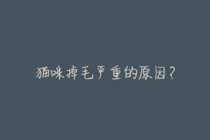 猫咪掉毛严重的原因?