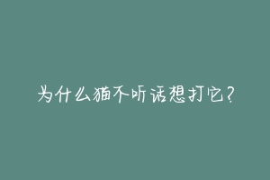 为什么猫不听话想打它？